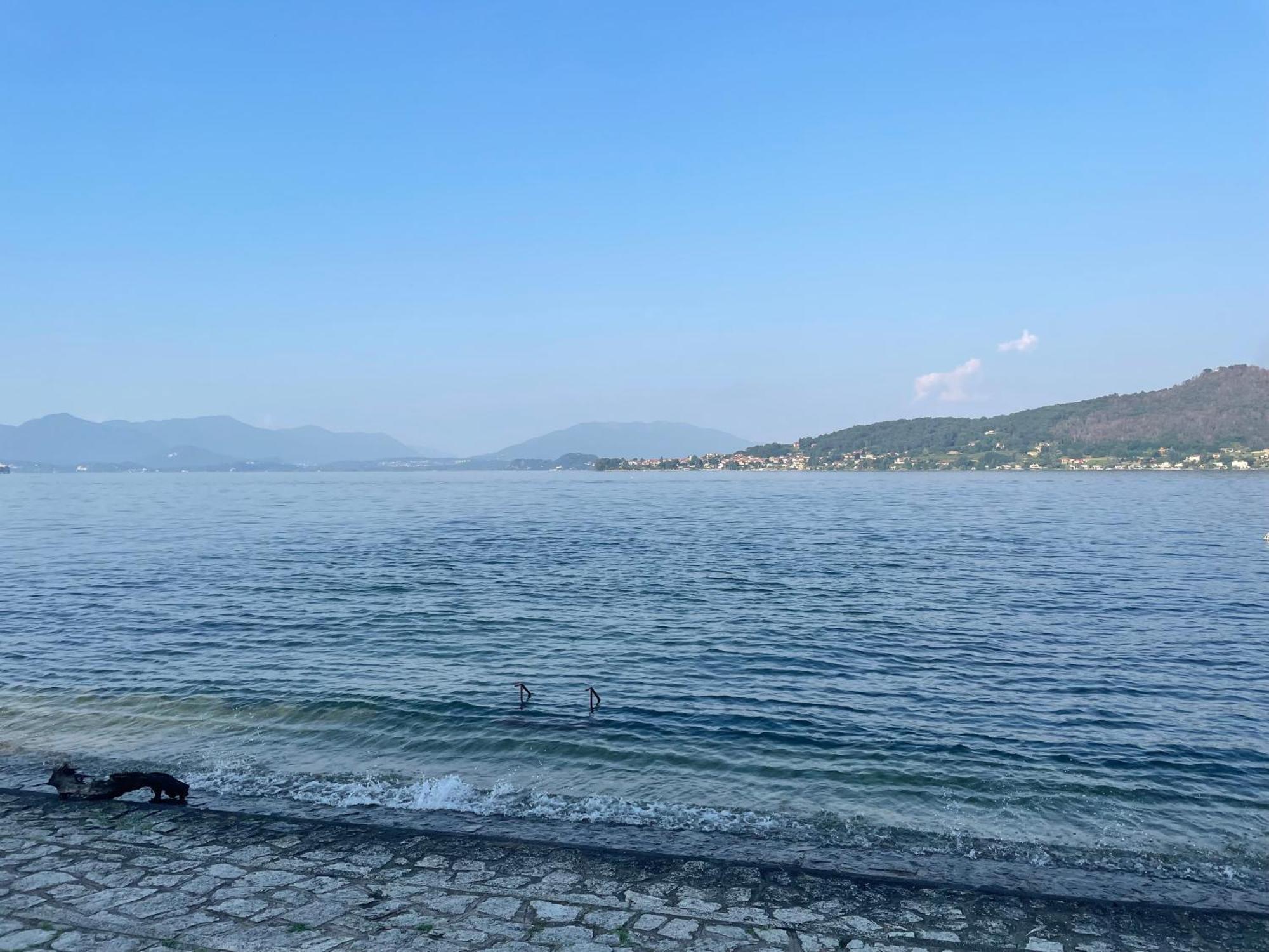 Appartamento Sul Lago - Meina Eksteriør bilde